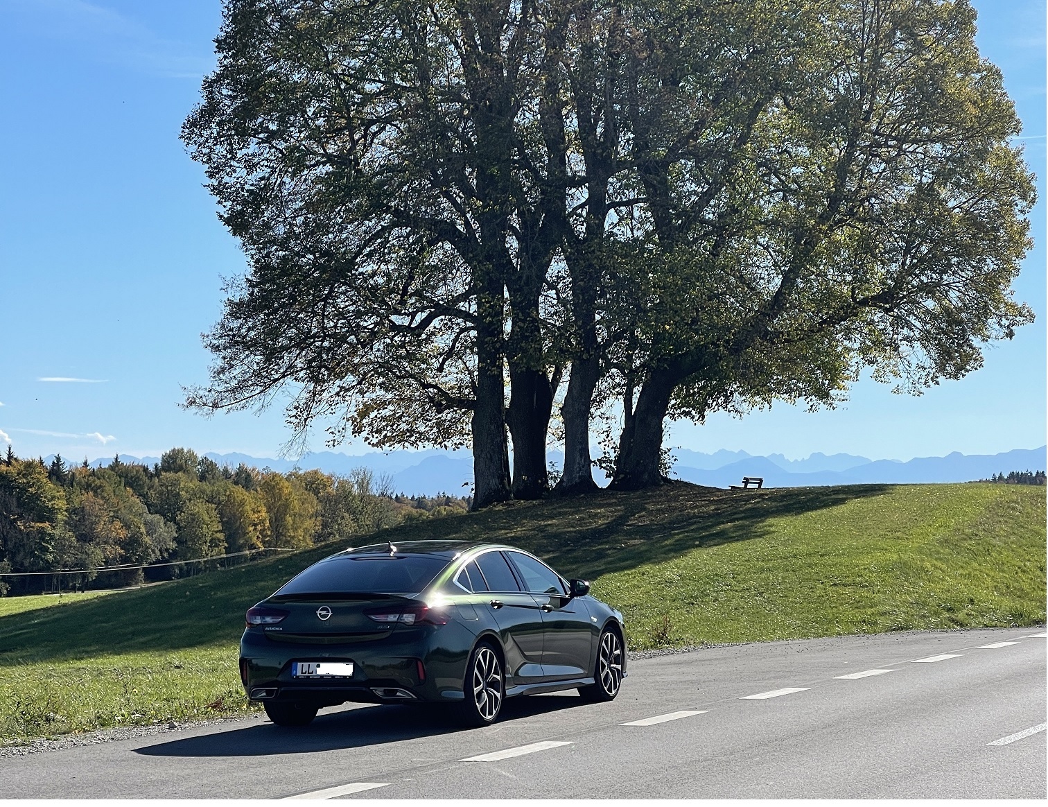 Parken am Baum